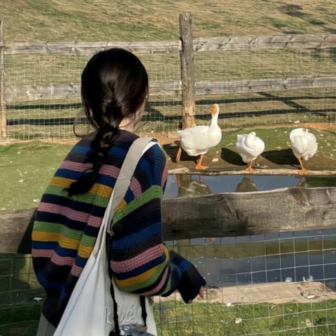 123玩偶服租赁（安徽阜阳发货）