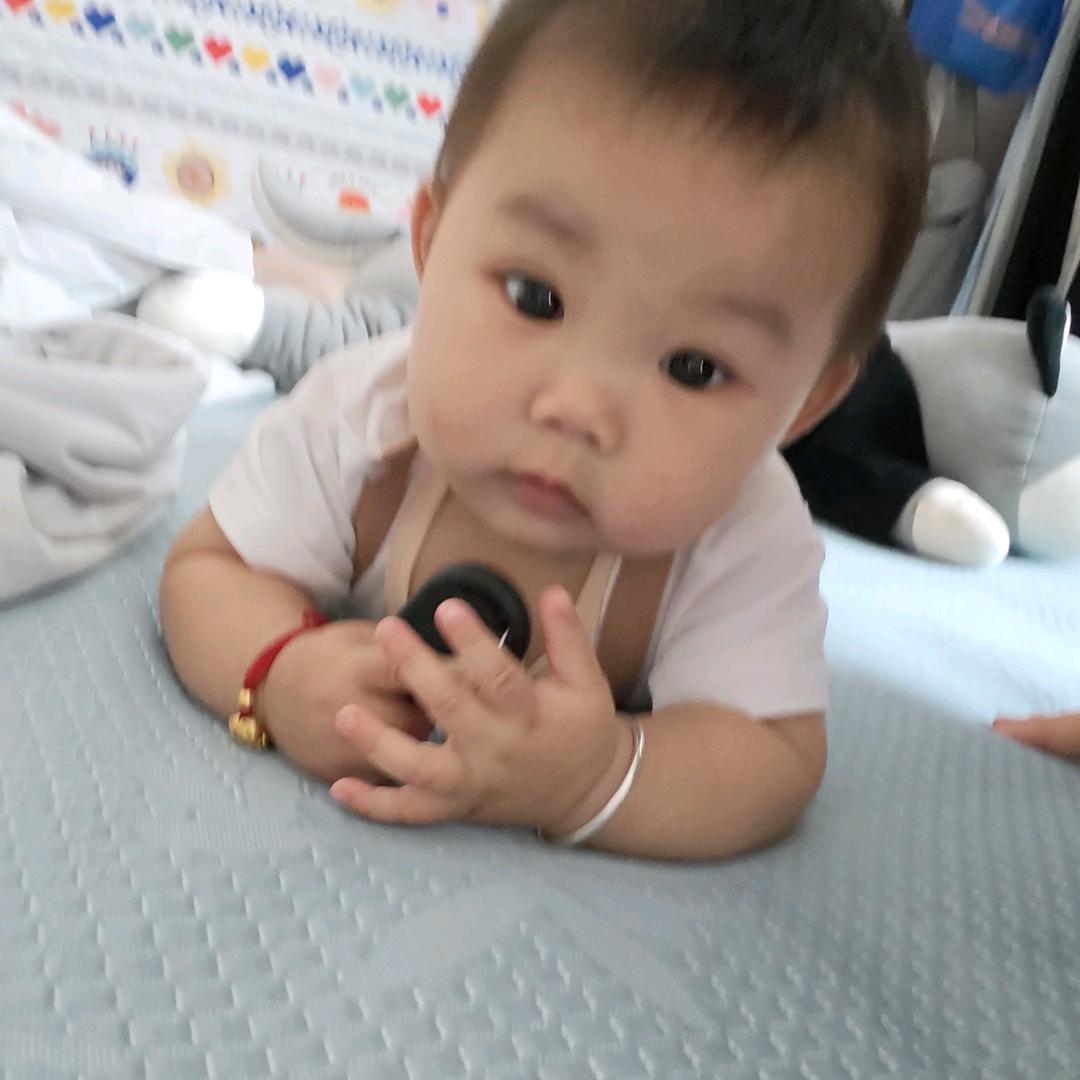 龙宝宝