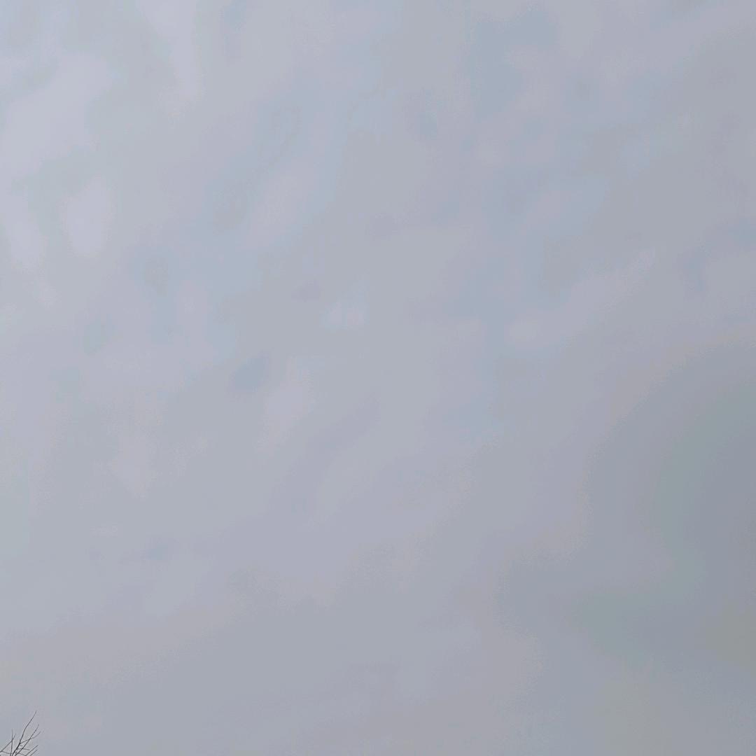 无敌哥