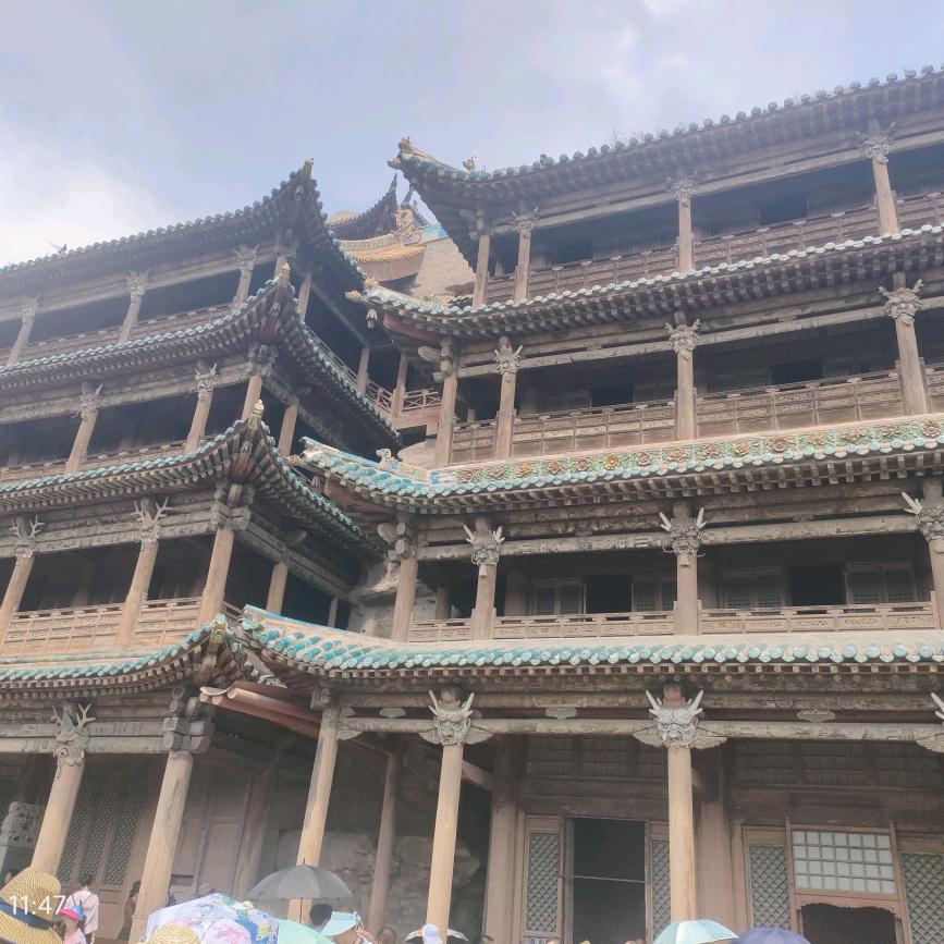 会飞的鲨鱼