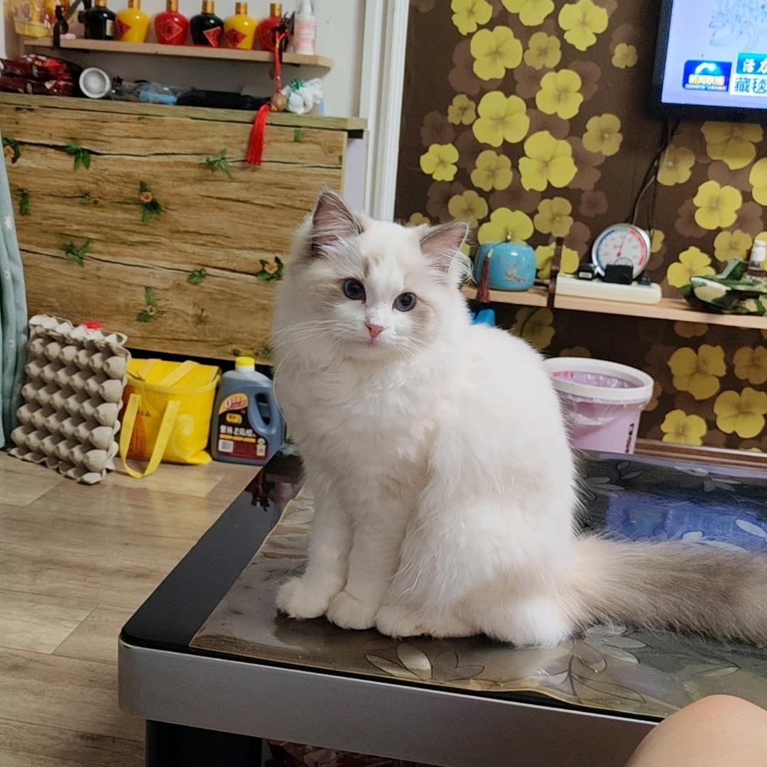 Lily