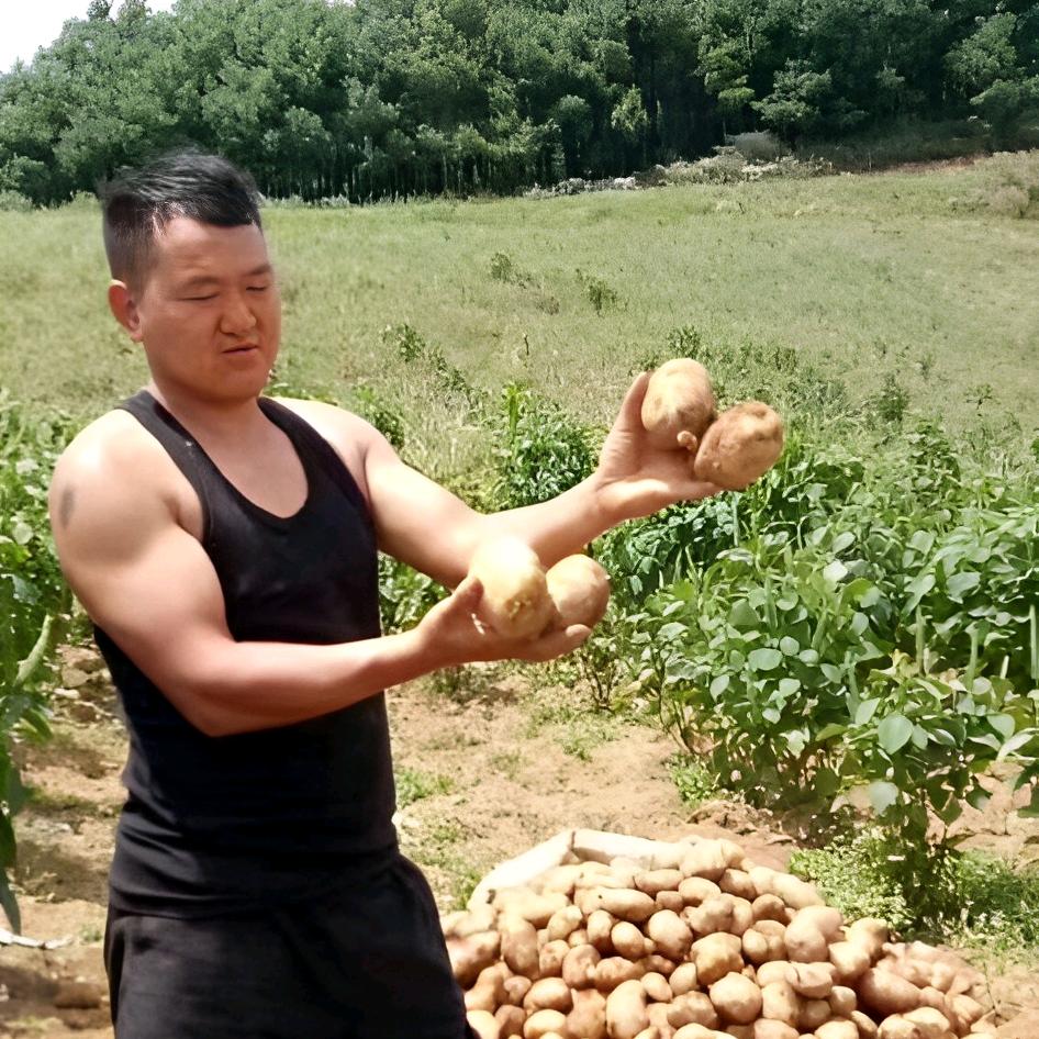 土豆哥