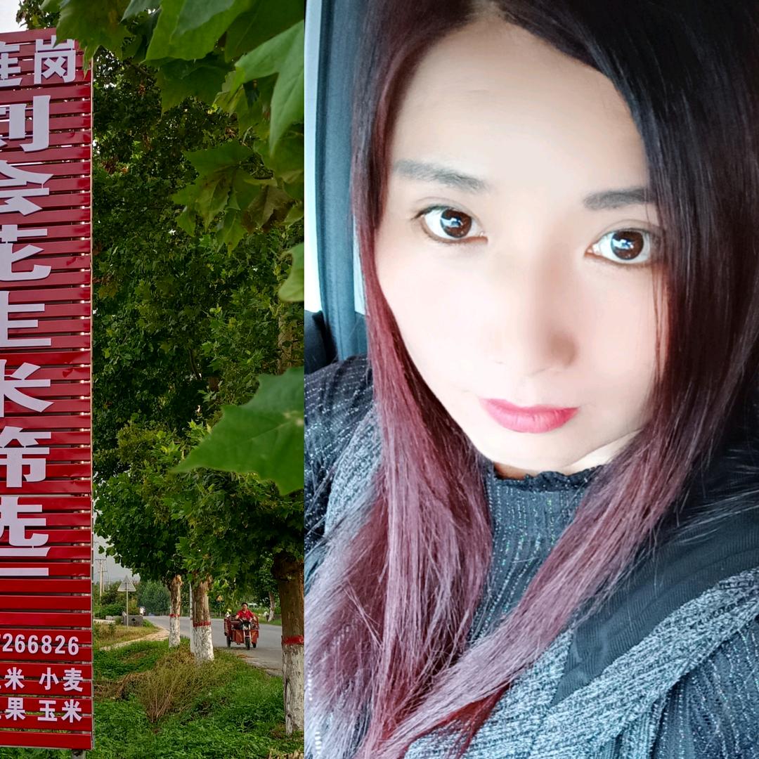 泌阳刘会花生米筛选厂