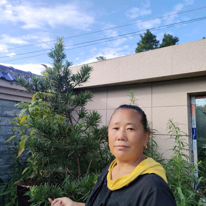 苦命的一家老小，实话实说