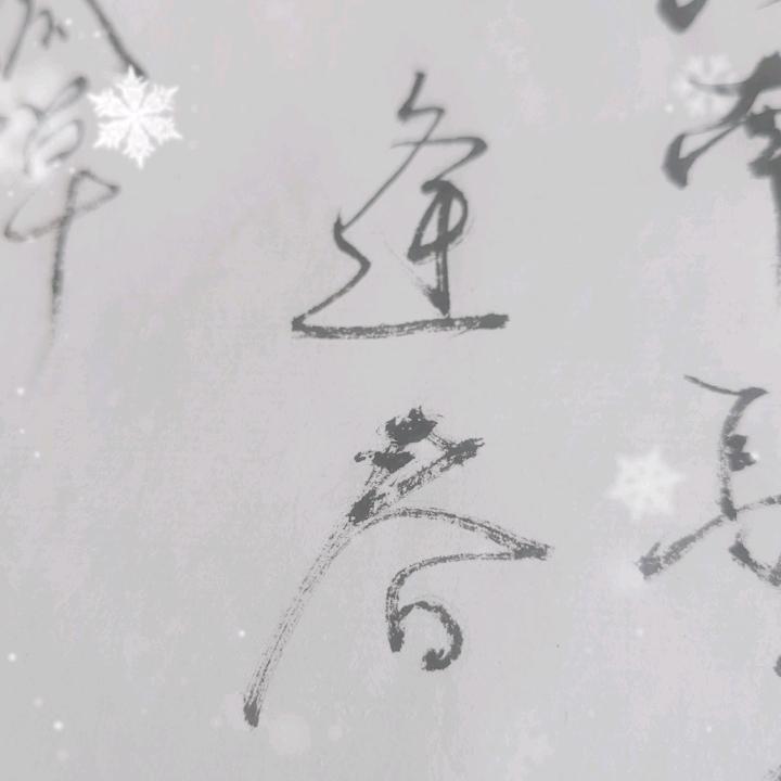 迷彩龙