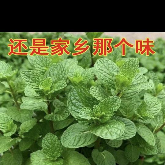 惠生活居家百货