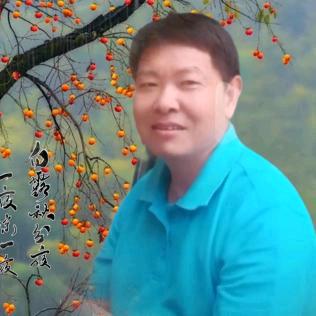 音为有你