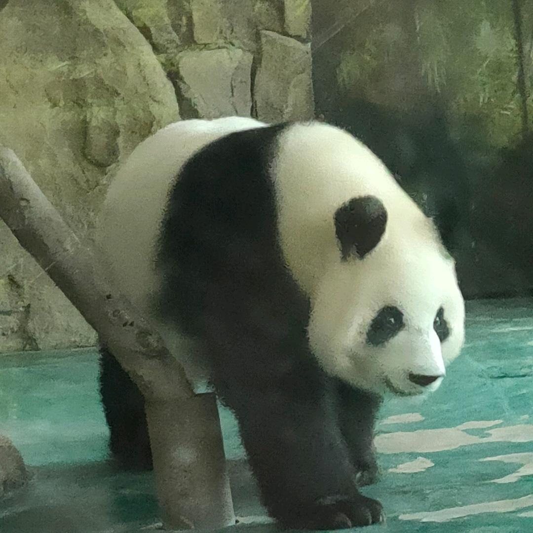 陪伴MMM