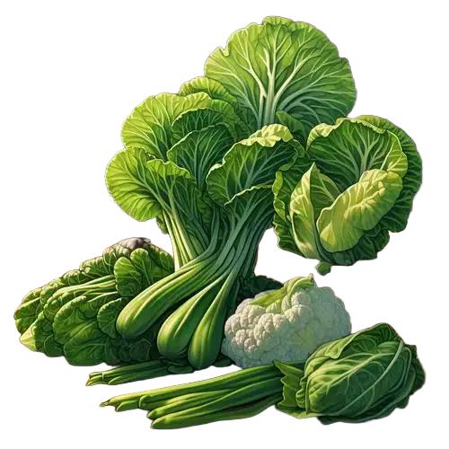 开阳菜园子农产臻选阁