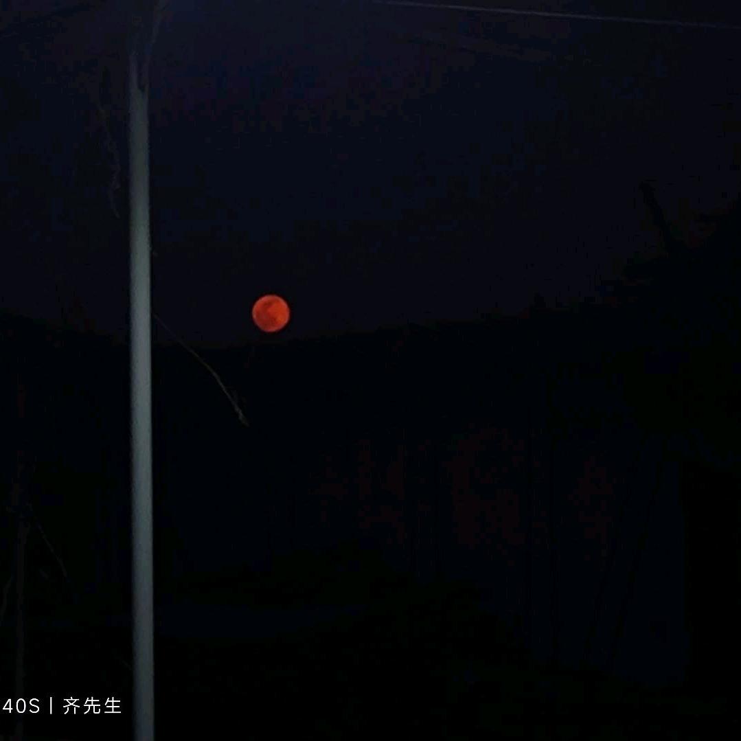 知趣
