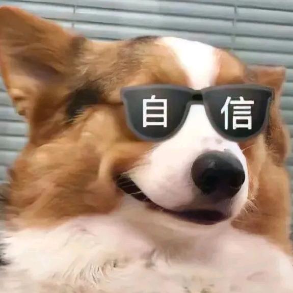 琦Q