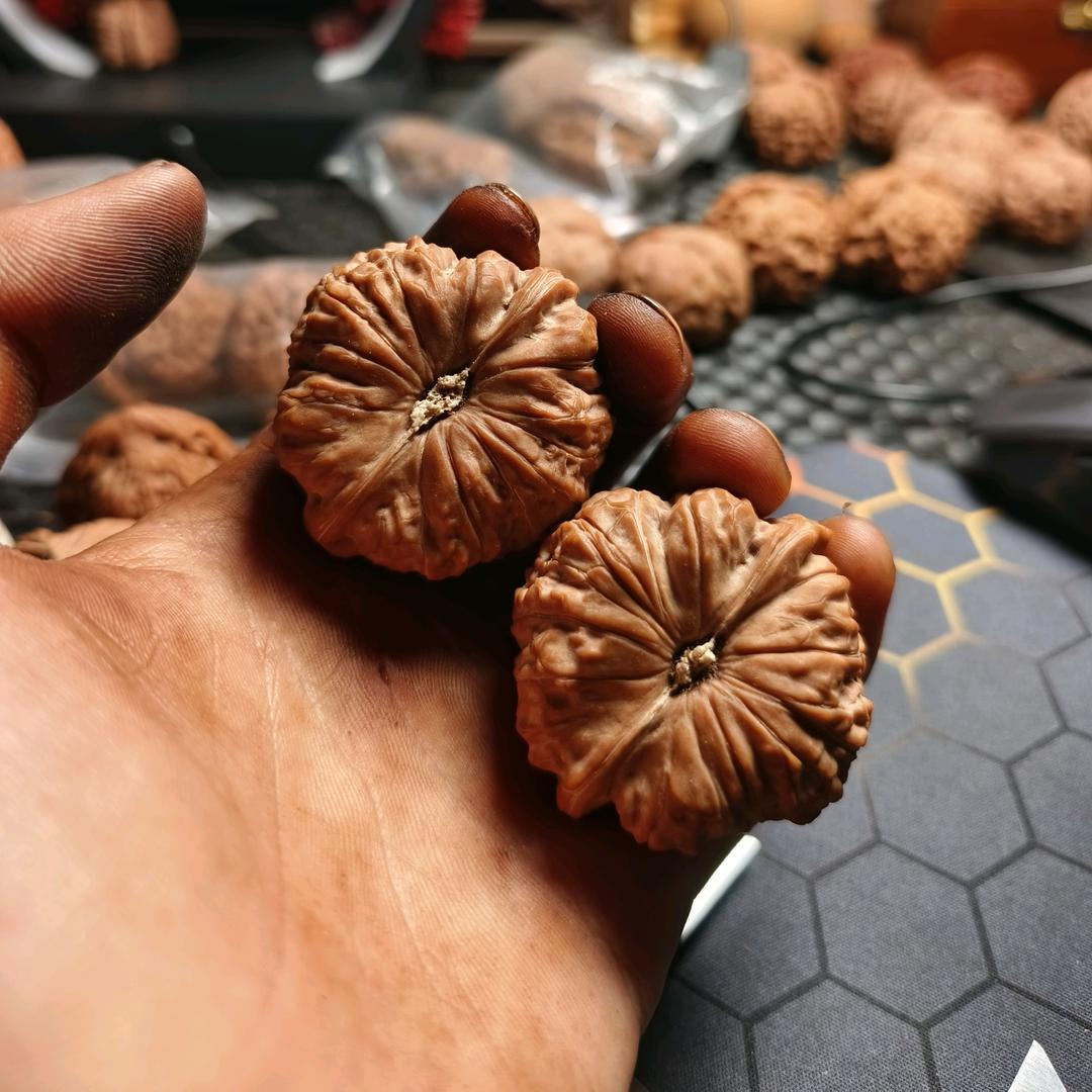 小核农