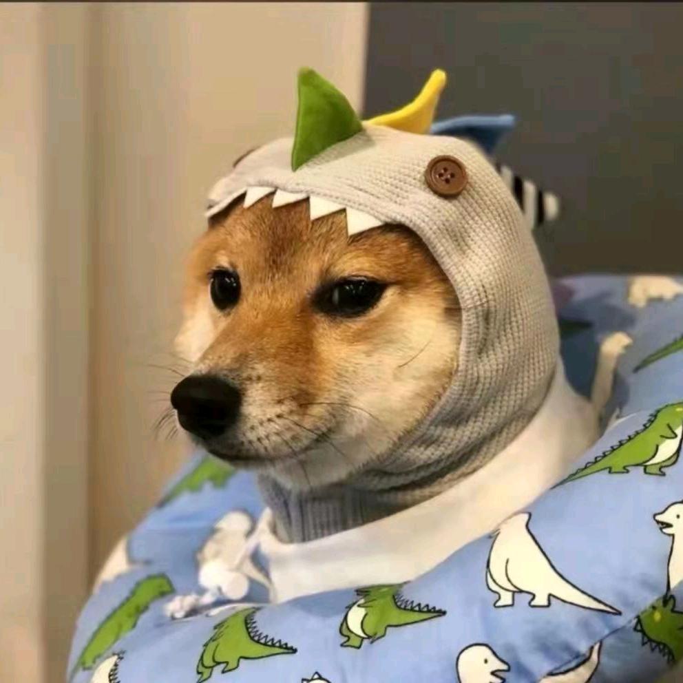 🌈骑驴去流浪.