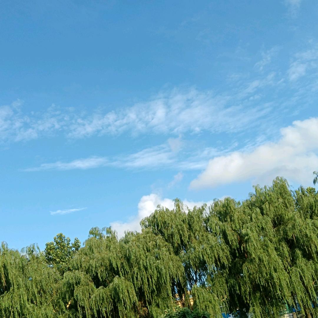 唐记山货