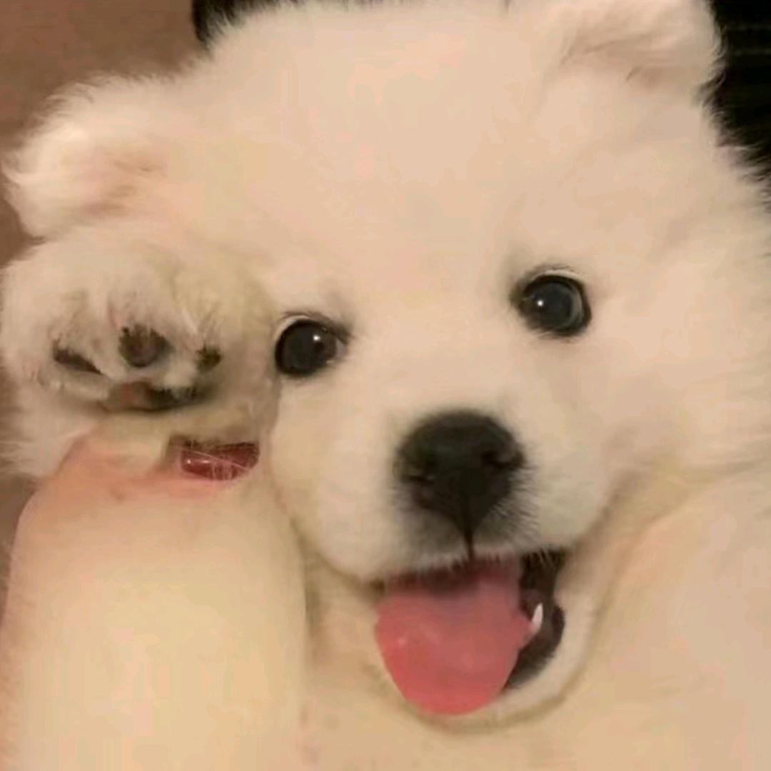 吃饱就睡.