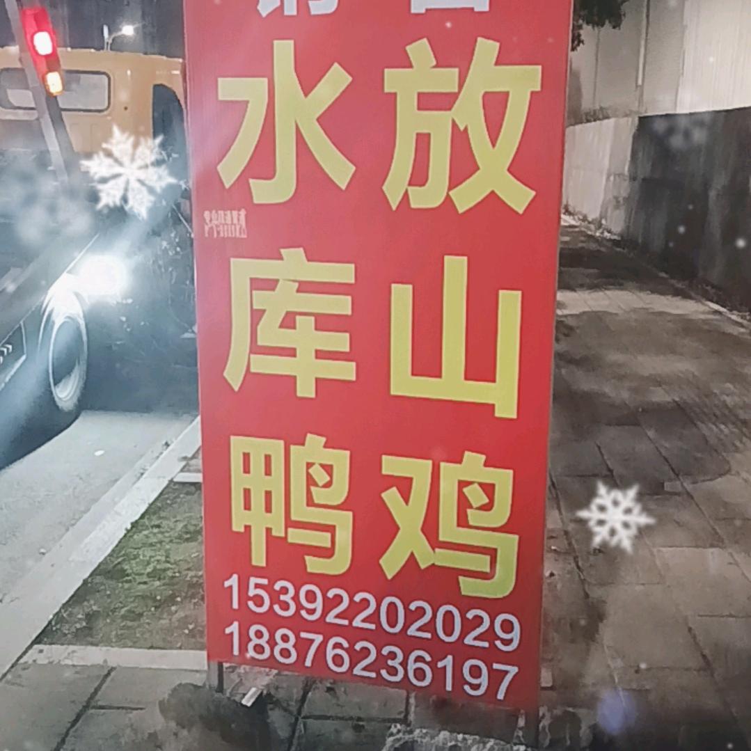 安溪同德桥头放山鸡水库鸭销售