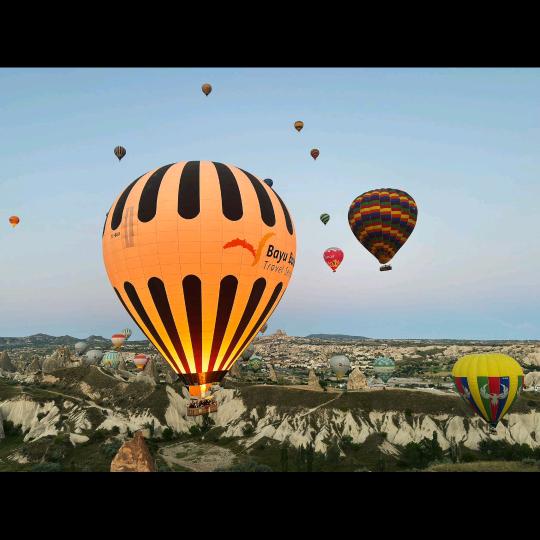 💕 🐰小龙虾🐉