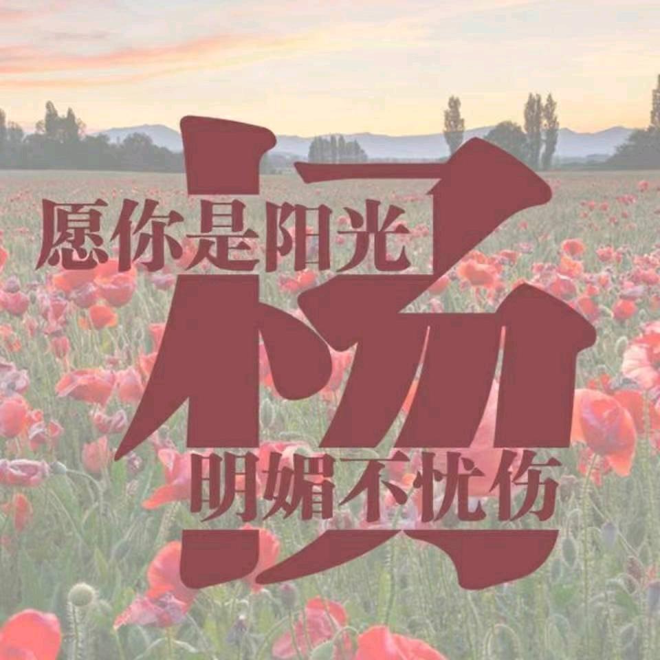 杨