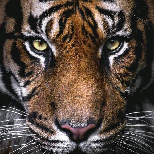 沿着塞纳河到翡冷翠