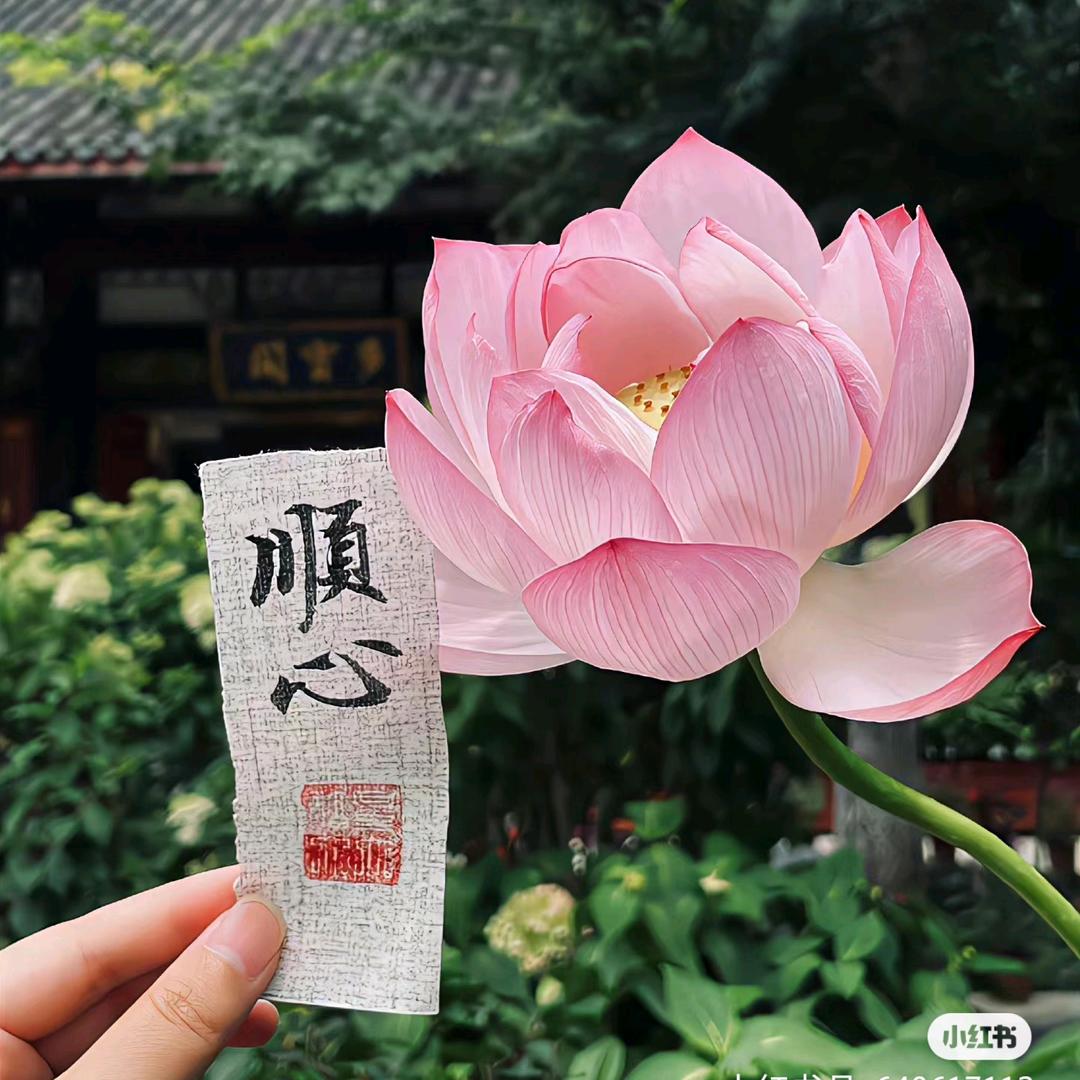禅心如水