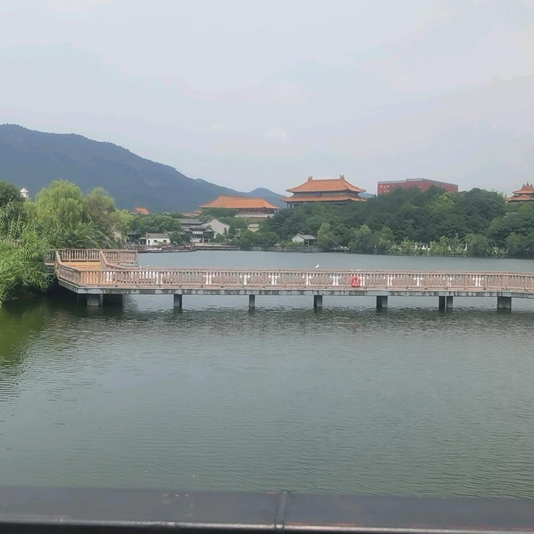 单纯～最美