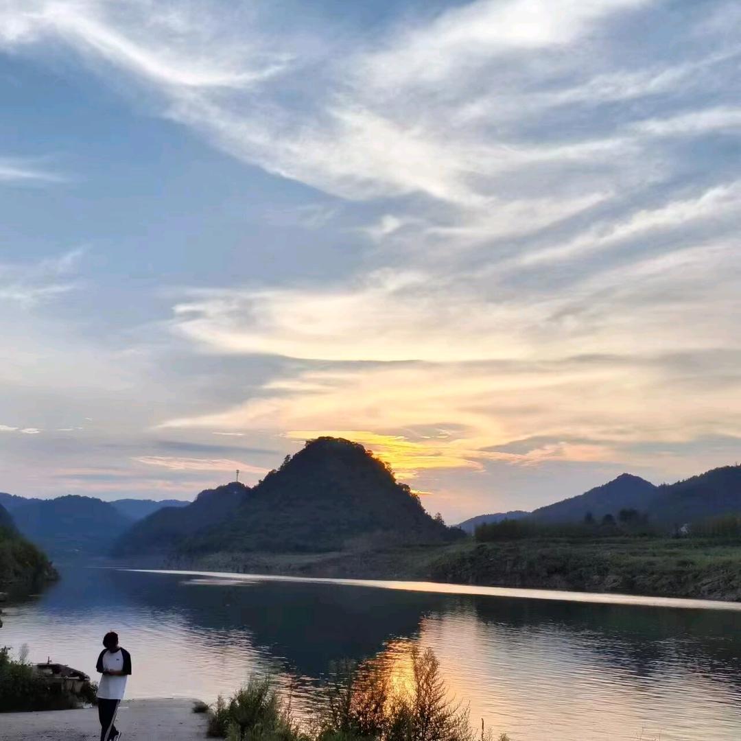 夏天的玫瑰