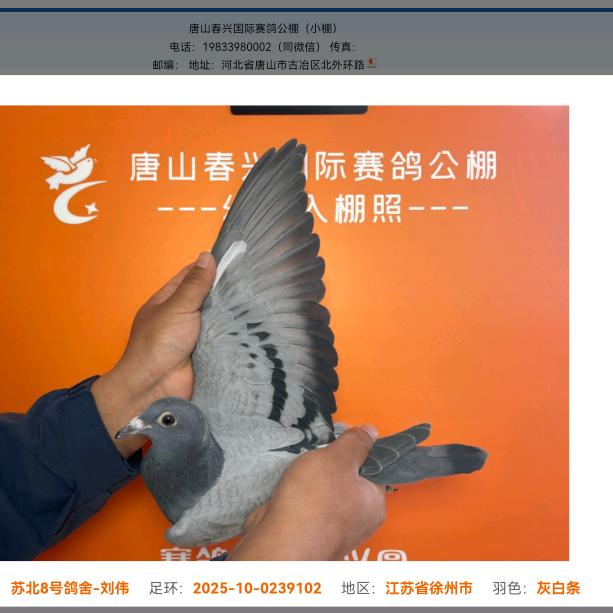 新沂至义乌专线 昊麟物流
