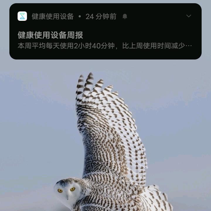 旋转的风