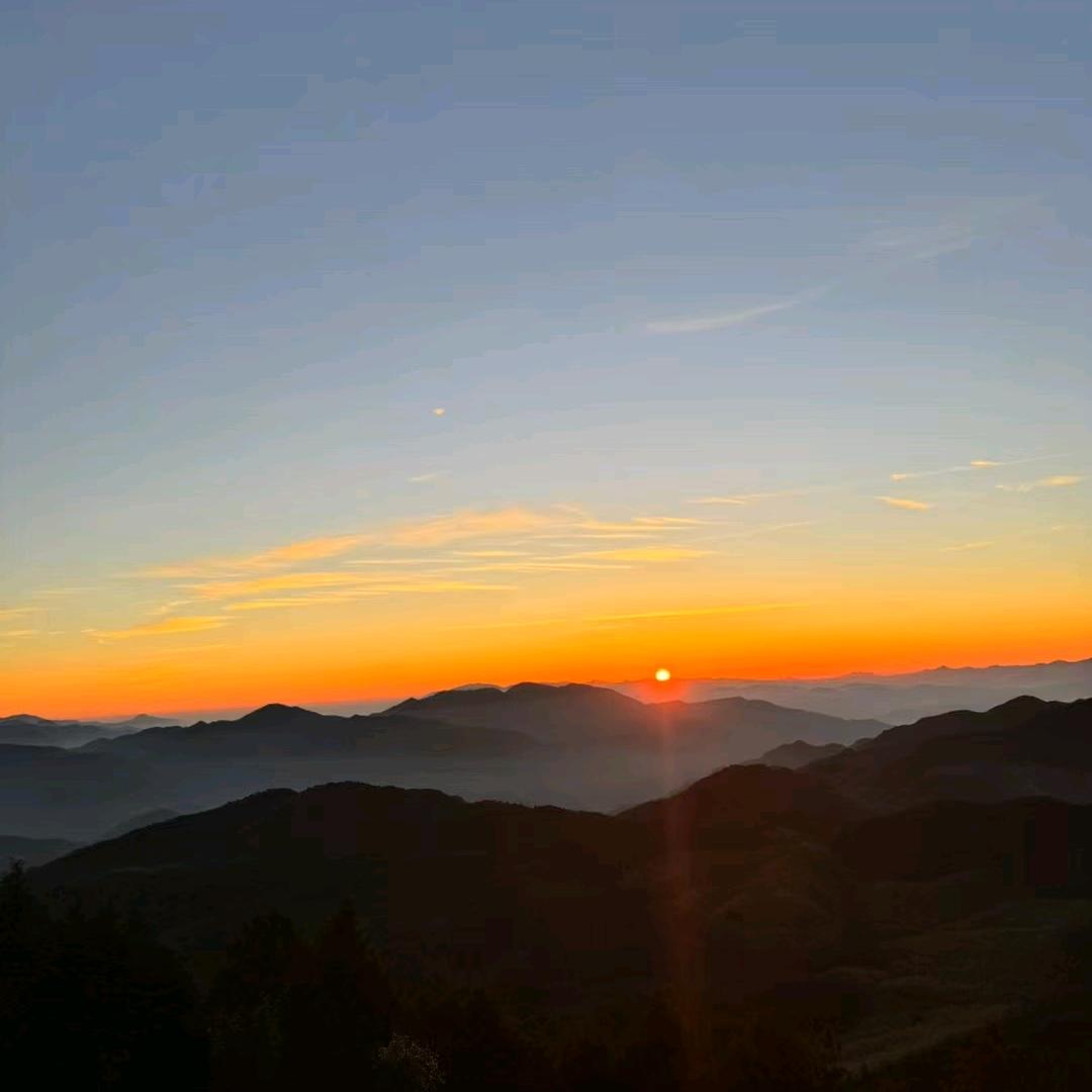 小孙呀w
