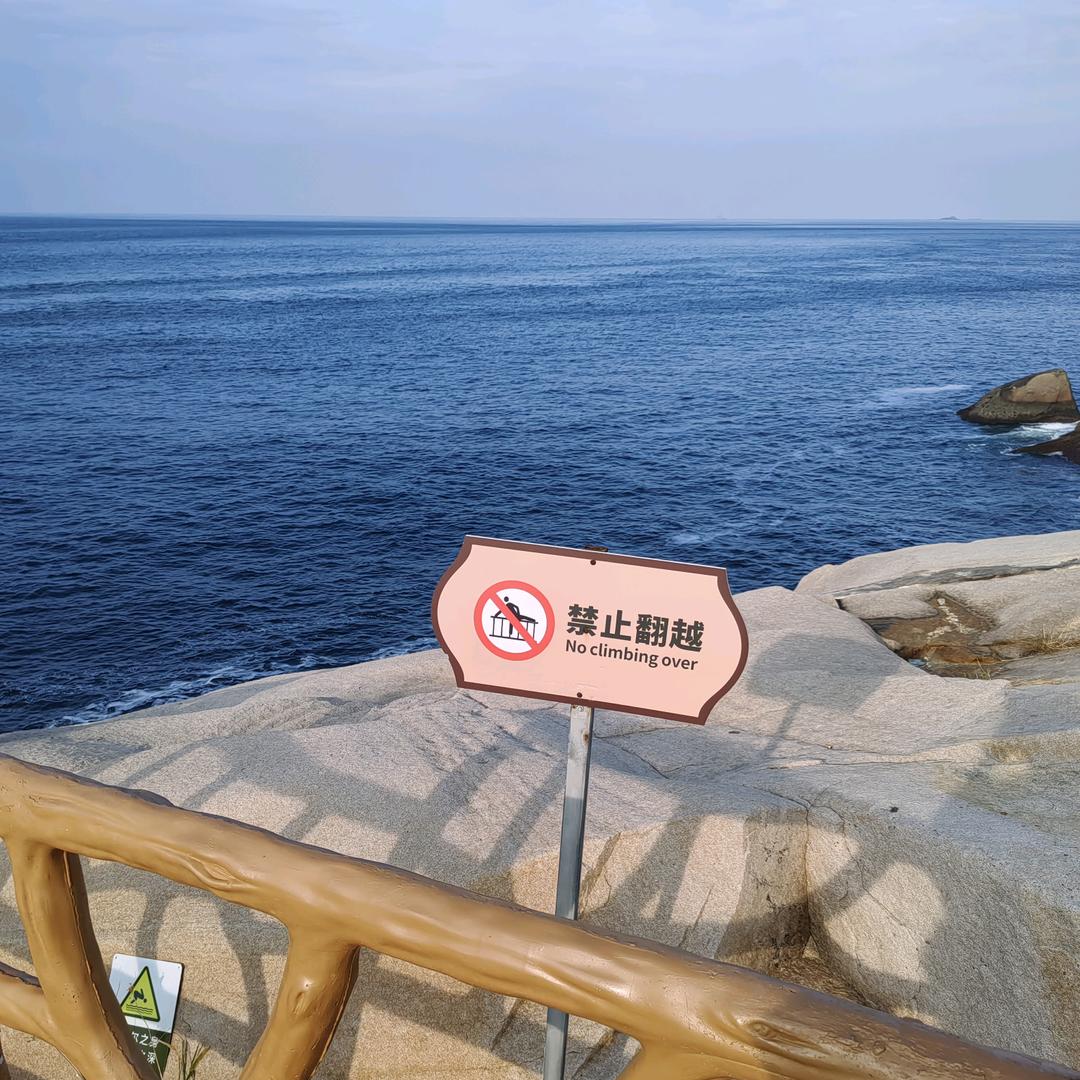 1½的夏天