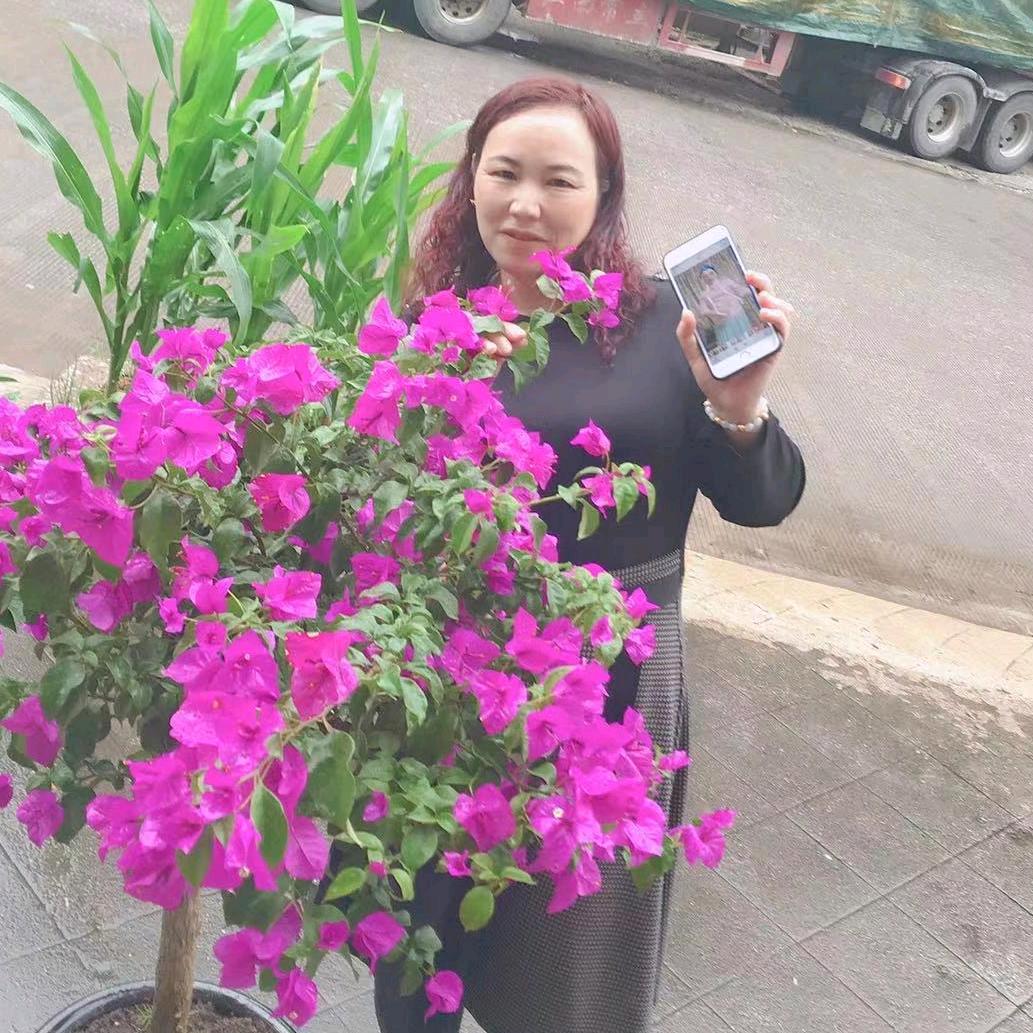 福云飘飘🌺