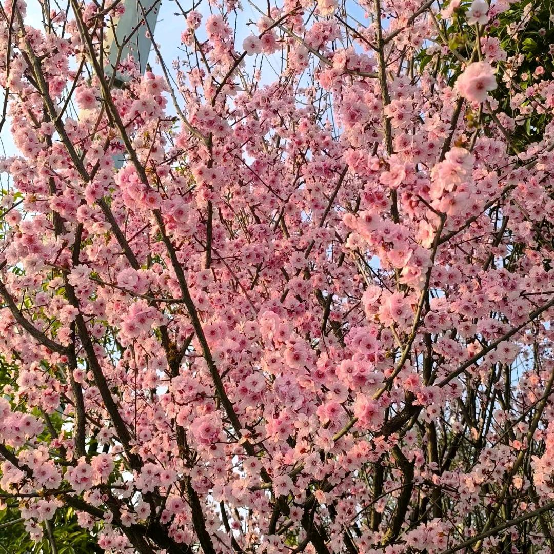 爱心店铺😊😊