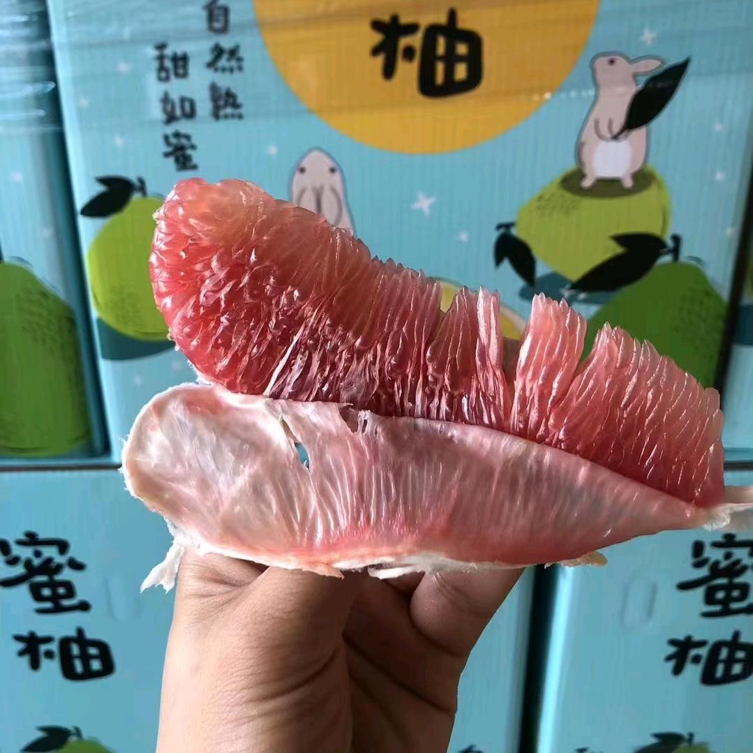 乐海果业