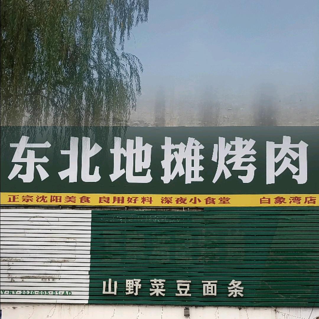 东北地摊烤肉（白象湾店）