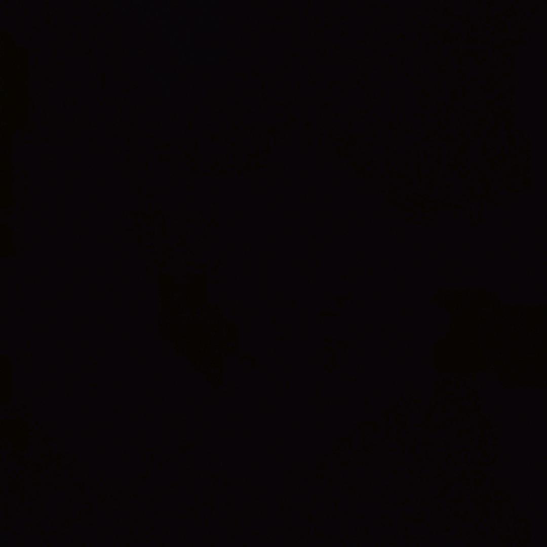 冷暖四季