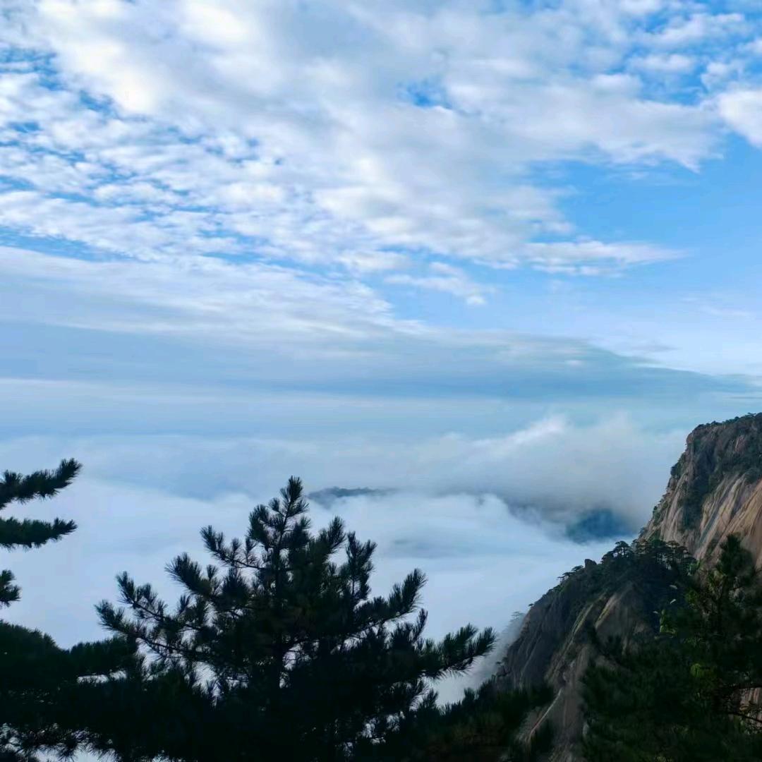 🚬ಇ᭄烟࿆ྃ似寂寞໊酒似愁࿐