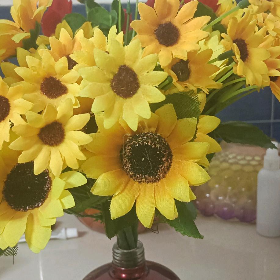 但愿余生再无忧