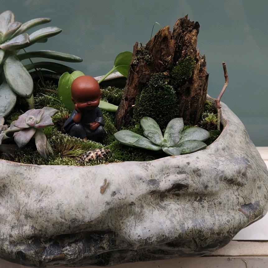 独孤虾
