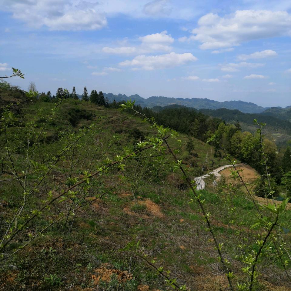 阿兵哥