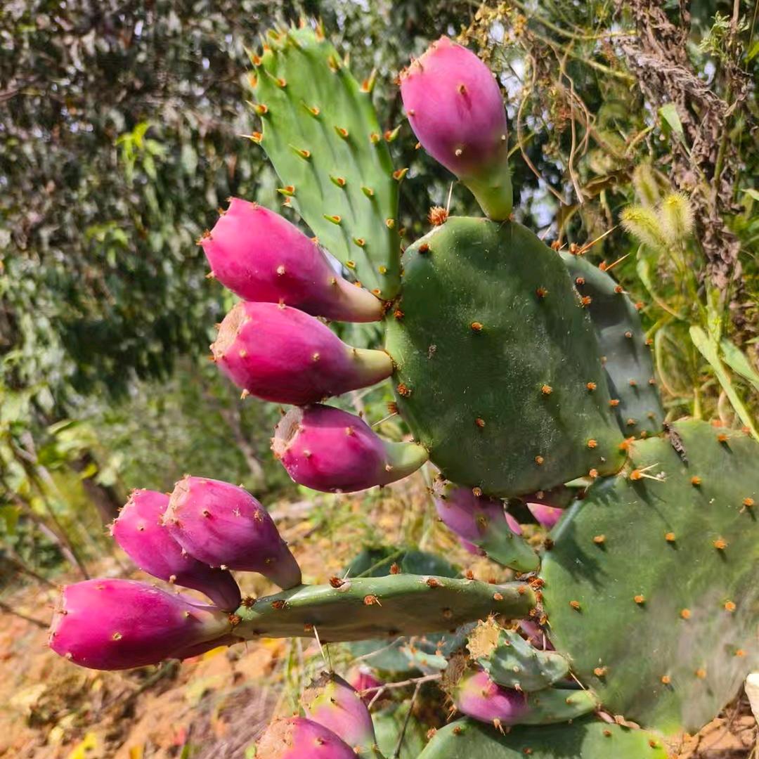 用户164🎐⁹¹⁷