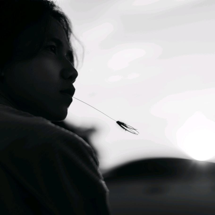 陈师虎