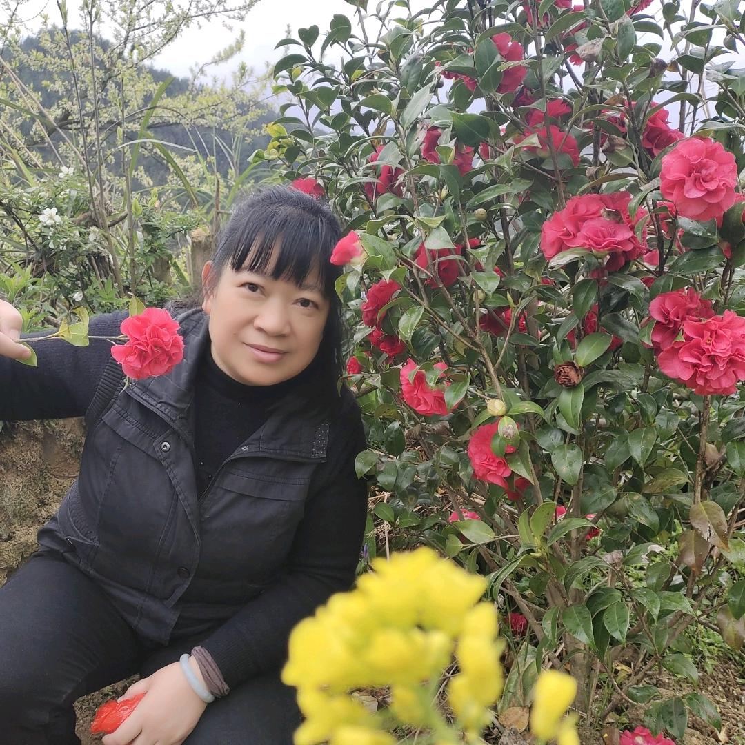 小荷