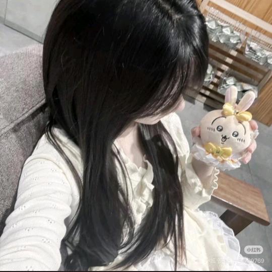 小泰迪