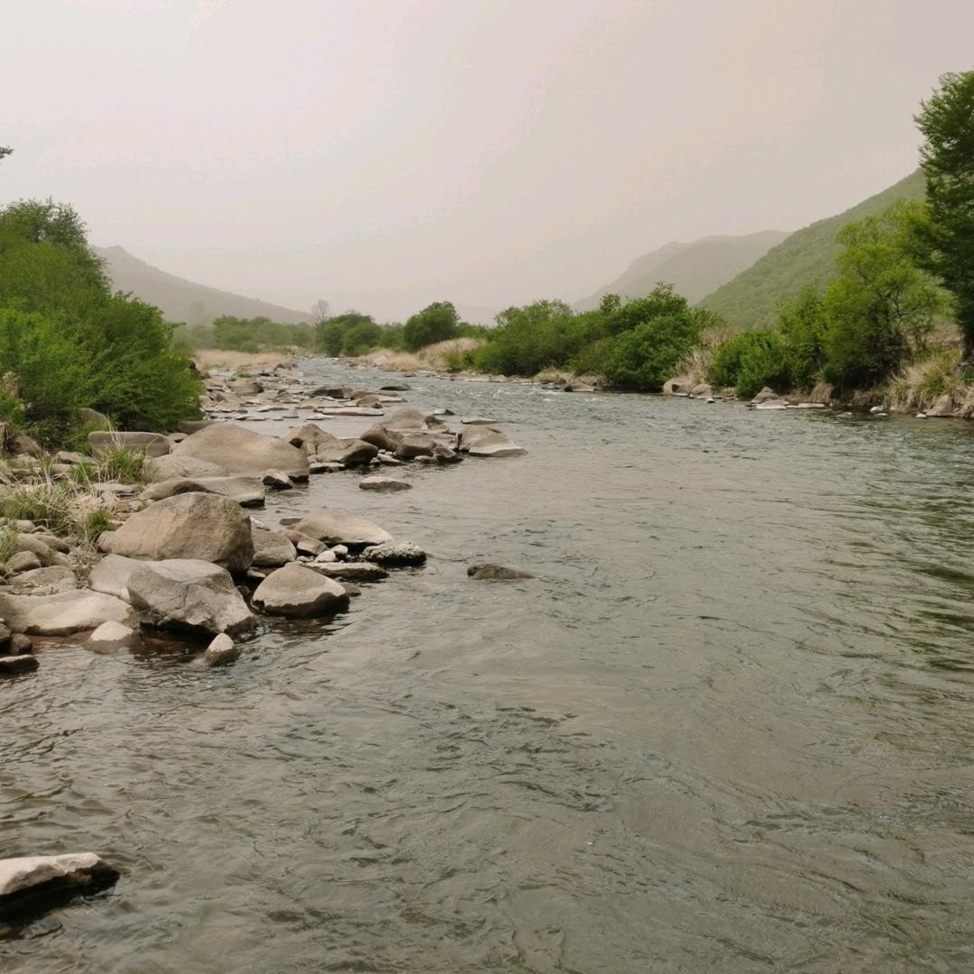 🏊‍♀️穿林海🚴‍♀️