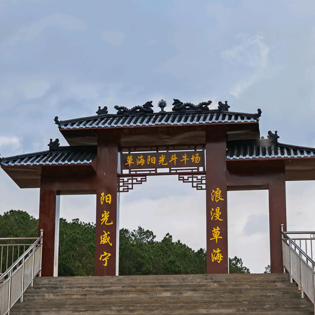 威宁草海阳光斗牛场