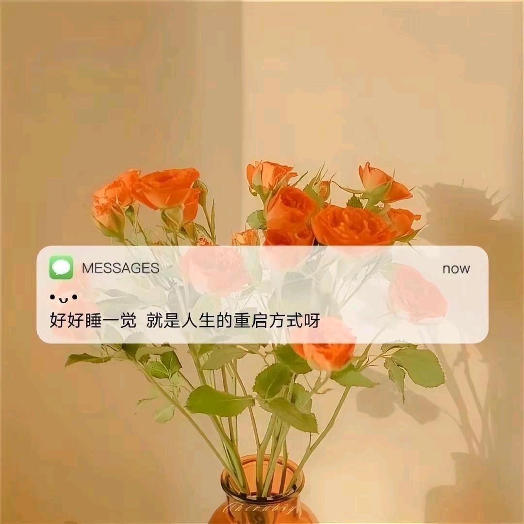 葵花宝典