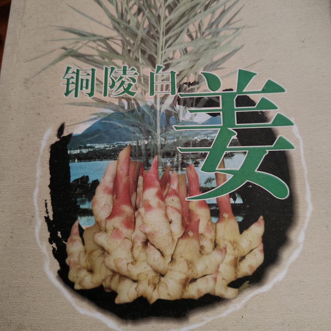 丰泉家庭农场