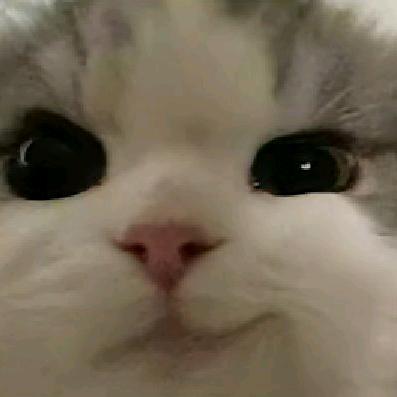 意念随心动