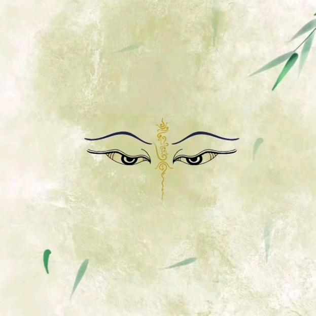 阿喵的万事屋🍑