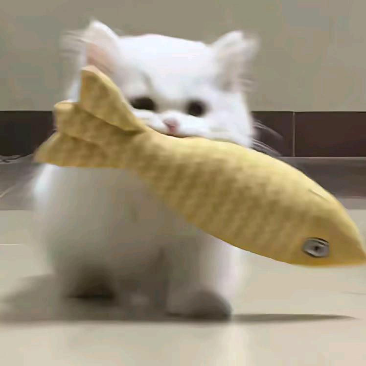 ૭